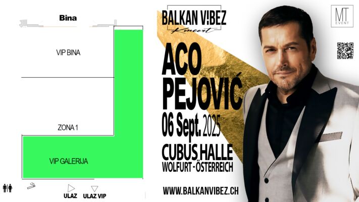 VIP GALERIJA - ACO PEJOVIĆ
